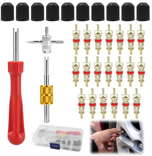 Eddrfy Kit Tappi Valvole Pneumatici Auto 33 Pezzi con Chiavi per Valvole, Ventilasvitatori per Auto, Estrattore Valvole E 20 Inserti Valvola, 2 Chiavi Valvola, Attrezzo 4 in 1 per Auto, Bici E Moto