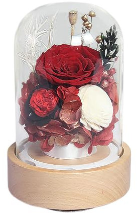 BestAlice Spieluhr mit Drehbarem Holzsockel, Konservierte Blumenrose, Echte Rose in Glaskuppel, Ewige Blumen für die Lieferung an Weihnachten, Jahrestag, Valentinstag, Verlobung
