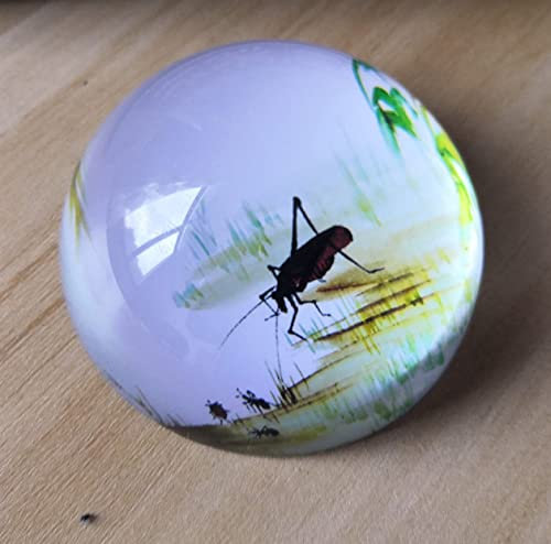 Kristallkugel Cricket Insekt Halbkugel Glas Halbkugel Briefbeschwerer Heimdekoration Ornamente Kugel Miniatur Kreative Geschenke