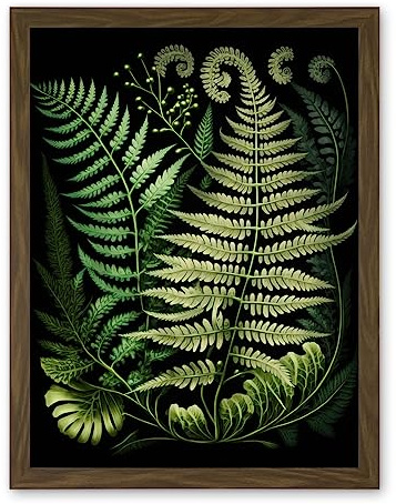 Artery8 Ernst Haeckel Style Fern Fronds Illustration Artwork Framed Wall Art Print 18X24 Inch