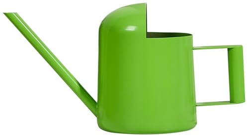 Mini annaffiatoio, annaffiatoio da 300 ml in acciaio inossidabile per interni piccolo con beccuccio lungo Bonsai stile semplice per piante da interno ed esterno, verde