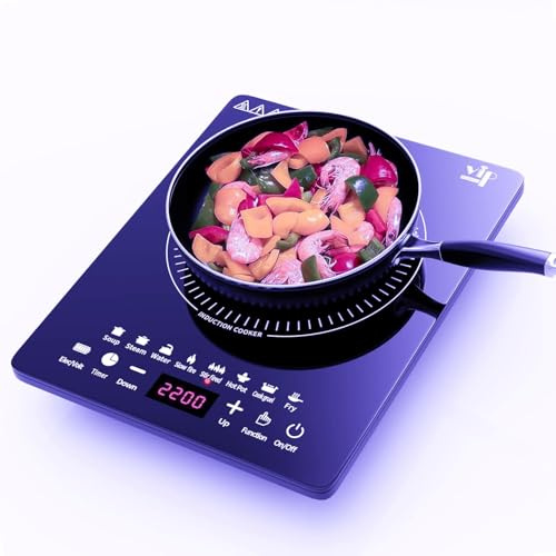 Plaque à induction, 2200W plaque de cuisson induction portable avec fonctionnement silencieux, 8 modes de cuisson tactile avec capteur, brûleur de comptoir multifonction (DX2)