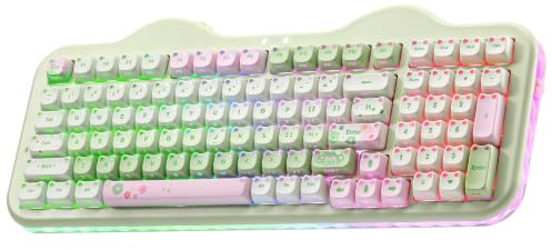 YUNZII C98 Clavier Mécanique sans Fil Thème Gâteau (Vert Mao, Candy) | Touches Transparentes MAO Oreilles de Chat, Bluetooth/2.4G/USB-C Filaire, Gasket, RGB, QWERTY, pour PC/Mac