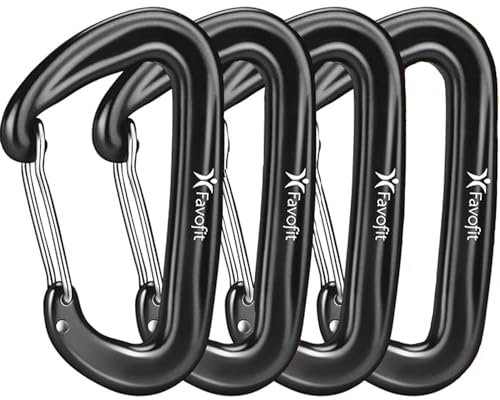 Schwerlast Alu Karabinerhaken Schlüsselanhänger Karabiner - Favofit 12KN (1224 kg) Karabiner Groß für Hängematte Outdoor Camping - Ultraleicht Klein D-Ring (Schwarz)