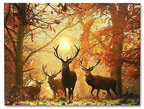 Yisumei Blanket, 150 x 200 cm, Soft, Cuddly, Flannel, Fleece Blanket Bed Throw, Deer in Autumn Forest
