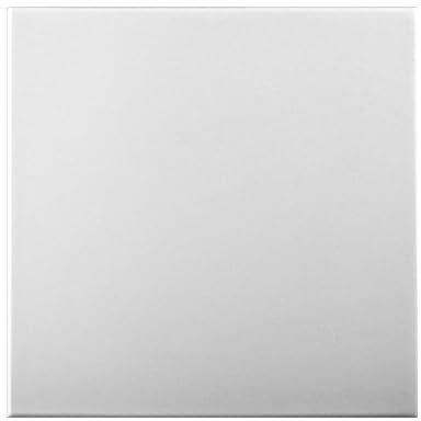 Decorative Ceiling and Wall Panels 2m2 (21.52 sqft) - 8 Panels (White Blank)