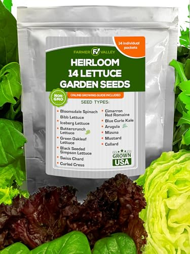 Lettuce & Salad Garden Seeds for Planting - 6400+ Non GMO USA Grown Vegetable Seeds for Home Growing - Heirloom Greens Seeds Good for Hydroponic, Indoor and Outdoor