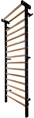 ARTIMEX Sprossenwand aus Metall/Holz für Physiotherapie und Gymnastik-Wird in Heimen, Fitnessstudios, Kliniken und Fitnesscentern verwendet - Artikelnr. 221-M-Schwarz