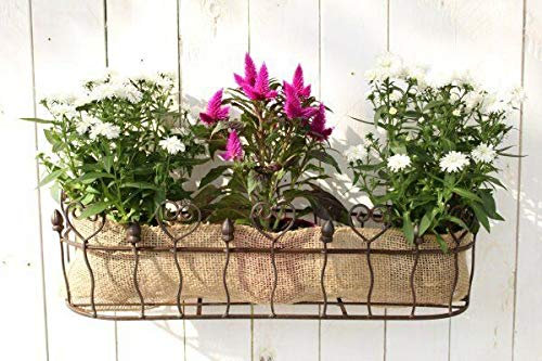 Manufaktur Lichtbogen Pflanzkorb zur Wandmontage 67 cm breit