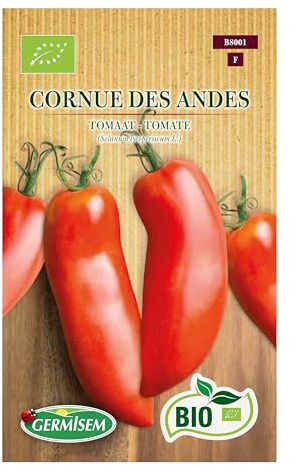 Tomate Cornue Des Andes