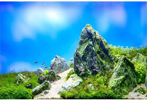 MIRRORANG 91x41cm Aquarium Hintergrund Wasserpflanze Steine Blauer Himmel Aquarium Unterwasser Hintergrund Flussbett & See Aquarium Hintergrund