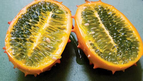 10 Körner KIWANO (Cucumis Metuliferus) CO NCOMBRE DU KENYA H845 GELEEMELONENSAMEN