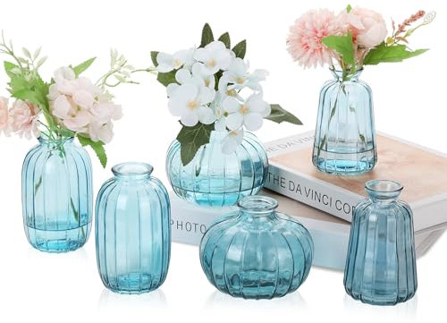 Ezvsevuo Vases en Verre, Lot de 6 Petits Vases pour Decoratifs de Table Mariage, Vase Décoratifs Vintage Mini Vase en Verre pour Décorations de Table Moderne