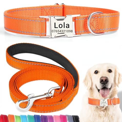 SEOUGEE Hundehalsband und Leine, Set mit gravierter Metallschnalle, reflektierenden Nylon-Hundehalsbändern und Leine für kleine Hunde mit individuellem Namensschild, Telefonnummer (orangefarbenes Set,