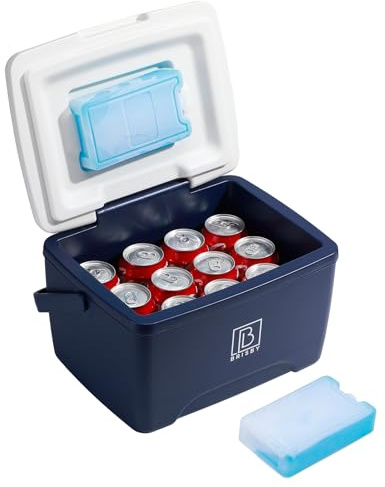 Brisby Kühlbox 8 Liter - 18 Stunden warm - 40 Stunden kühl - Inklusive 2 große Kühlelemente 450 ML -Kühltasche für Arbeit, Camping, Grillen oder Urlaub – BPA-frei