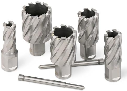 12-60mm HSS Annular Cutter Core Drill Bit 19mm Weldon Shank Hollow Hole Saw Cutter For Metal Steel Aluminum Copper Cutting(42mmX25mm)