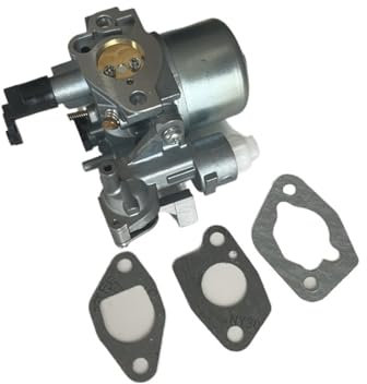 DNDJJM Kompatibel mit WACKER NEUSON WM170 WP1550 WP1540 VP1340 VP1540 VP2050 PLATTENVERDICHTER CARB Trench CARBY STAMPFER 5000156534