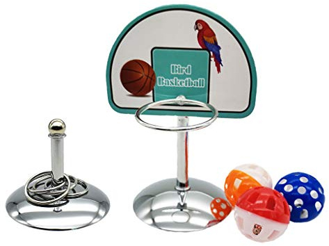 Panier de basket-ball pour perroquet - Jouet à mâcher pour perroquet - Cloches B - Lampe LED - Projecteur de coucher de soleil - Projection arc-en-ciel - Lumières arc-en-ciel modernes - Cadeau de