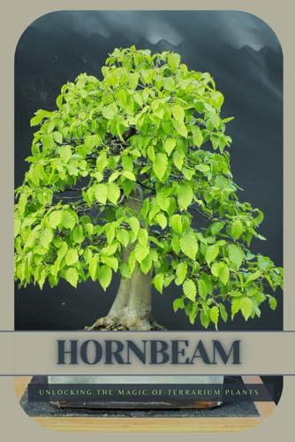 Hornbeam: Ultimate Starter’s Guide to Bonsai Tree