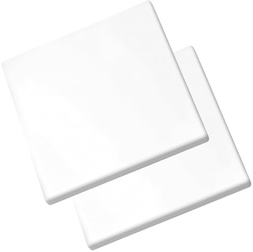Zuuyye 2 pièces Cache-Prise Aveugle Blanc Plastique 86×86mm Plaque de Prise Encastré