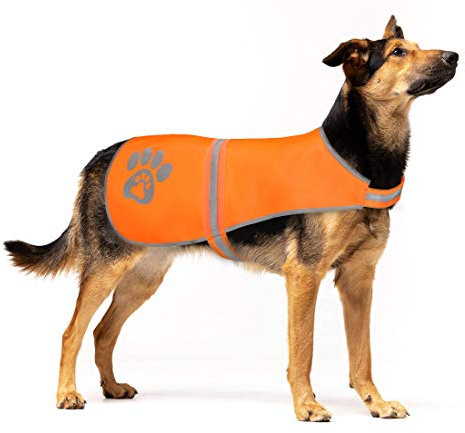 SPOFLY Hundeweste, Orange Jagdweste Sicherheit Reflektierende Hundejacke Passend für kleine mittelgroße große Hunde, Hohe Sichtbarkeit und Sicherheit vor Jägerautos und Anderen (Orange, XS)