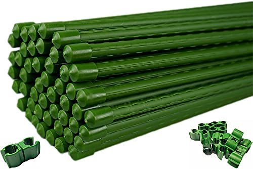 Novatool Set Pflanzstäbe 11x1500 und Multifunktionsclip I Gewächshauszubehör Planzstabverbinder I Tomatenstab