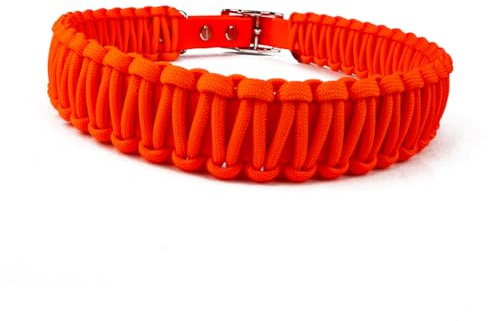 Hundehalsband Lori Tierluxe - Handgemacht, Paracord, Biothane (Orange Neon, XXXL Halsumfang 50-57 cm)