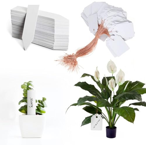 200Pcs Multifunctional Plastic Plant Marker Labels Set, Waterproof Garden Markers Reusable Nursery Labels, Blank Nursery Name Tags with Strings, Outdoor Plant Seed Name Sign Label for Herb Flower