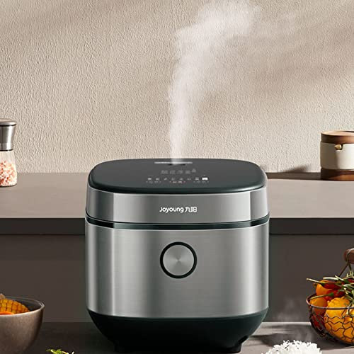NIBHZ Cuiseur à Riz 6 Tasses Non cuits, cuiseur à Riz 4L, cuiseur à Riz Portable pour 2 à 10 Personnes, cuiseur à Riz, multicuiseur pour Riz Brun, Riz Blanc, Quinoa