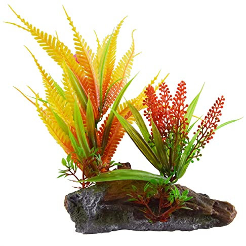 Underwater Treasures Orange Fern On Root