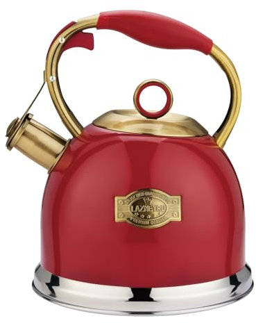 Bouilloire sifflante en acier inoxydable de 3 l avec poignée résistante à la chaleur, bouilloire sifflante pour plaques à induction