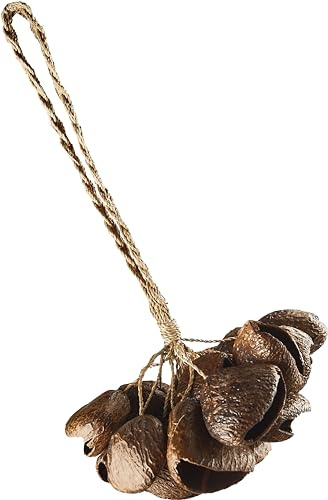 Sonic Energy Pangi Nussschalen Shaker, mit Handschlaufe (SPGRS) | 21 cm lang, 100 g, Soundeffekt Instrument, tiefer Klang, Pangi Seeds