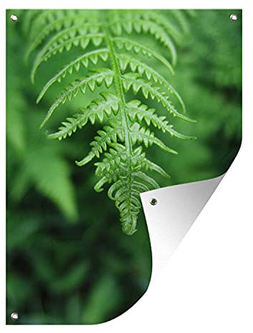 MuchoWow Outdoor-Poster Poster Wanddeko draußen Deko Garten Gartenposter 60x80 cm Grüne Blätter eines Farns vor einem verblassten Hintergrund