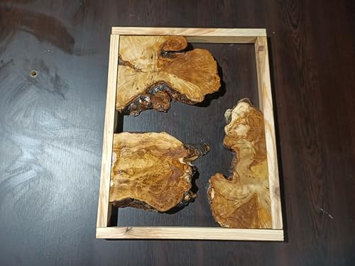 Live Edge Olive Root Slabs Set for DIY Epoxy Projects Cutting Boards, Ready to be Resin Table, Cleared Wood Slabs for Epoxy Resin Project 30 x 40 cm
