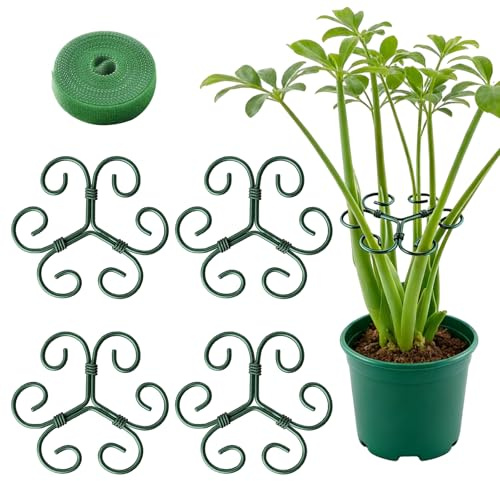 MMDOCO 4 soportes para plantas, soporte para flores, rosas, tomates – Monstera de metal resistente, estable y fácil montaje – Soportes para plantas de interior, plantas perennes y hortensias