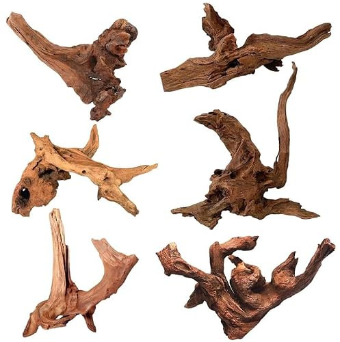 NCOALE 6 Stück Aquarium Wurzel Echtholz, Natürliches Treibholz Deko Aquarium Holzdekoration Root Kleines für Aquascaping Reptilien Innendekoration