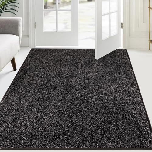 FCSDETAIL Zerbino Trappola Sporco 120 x 180 cm, Tappetino Antiscivolo Lavabile in Lavatrice, Zerbino d'Ingresso con Microfibre Morbide Assorbenti per Cane, Ingresso, Porta e Corridoio