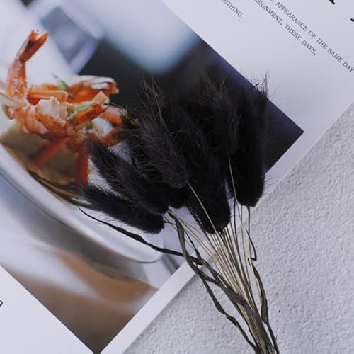 20 Stück natürliche getrocknete Blumen weiße künstliche Blumen Bunte gefälschte Kaninchenschwanz Gras Ovatus Fuchsschwanz Blumenstrauß Lange Trauben-BK