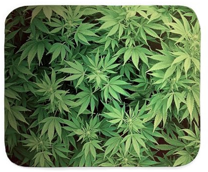 CafePress Marajuana Weed Pot Sherpa Fleece Throw Blanket 60 L x 50 W