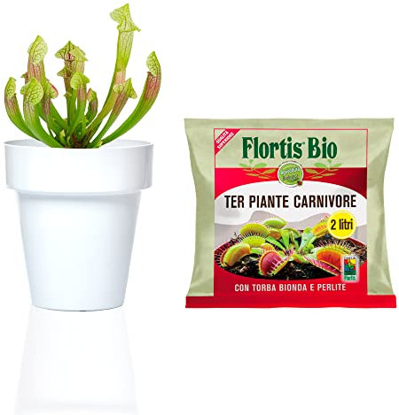 Kalapanta - Kit per rinvaso piante carnivore con terriccio biologico specifico (Bianco)