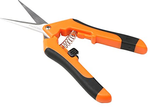 Bostar Forbice potatura piccola per giardinaggio, punta dritta professionale per raccogliere frutta albero fiore rami arancione