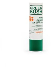 GREENBUSH Stick à Lèvres Solaire SPF50+ 4g - BIO COSMOS ORGANIC - Très Haute Protection UVA UVB - Filtres Minéraux Naturels - Famille - Fabriqué en France