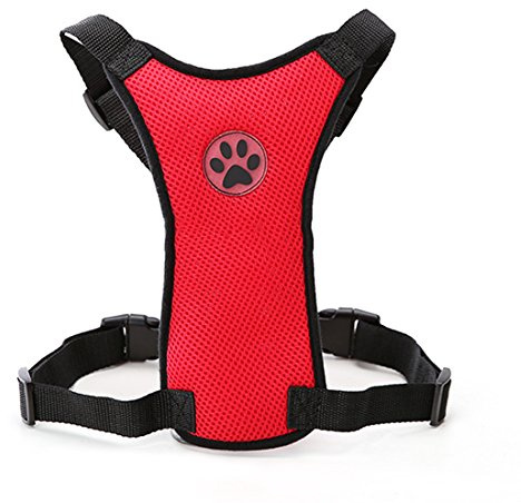 Pfotenabdruck Weich Autogeschirr Air Mesh Hundegeschirr Verstellbare Brustgeschirre für Klein Mittlere und Große Hunde Harness Atmungsaktiv Sicherheitsgeschirre Haustier Laufgeschirre (M, rot)