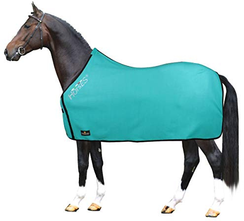 Horses, Fleece Pferdedecke, Basismodell, weich und bequem, ideal für Transport und Feierabend, Größe XS-120cm bis XXL-162cm, erhältlich (Türkis-128 cm)