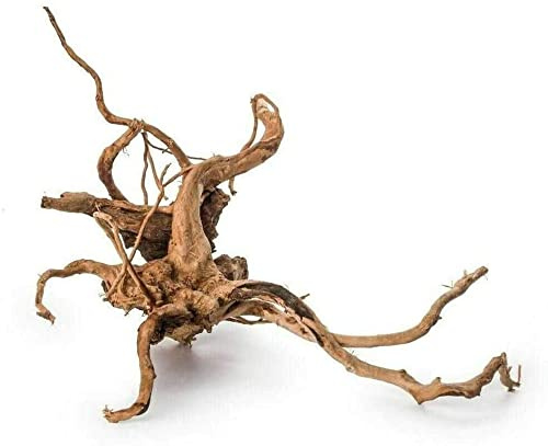 Biotope Aquatics Ltd Cheap SLIM REDMOOR WOOD min 20cm- Random Piece red moor root- aquarium root, fish tank decoration, add java fern or moss (1 Piece of wood)
