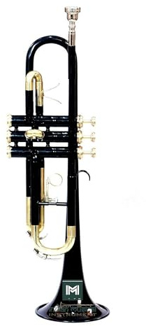 Piccolo Trompete BB Pitch Premium Messing Qualität mit Hartschalenkoffer & Mundstück Schwarz Gold