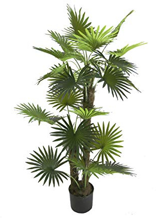 AMERIQUE Gorgeous 5' Tropical Fan Palm Arecaceae Tree Artificial Silk Plant with UV Protection, with Nursery Plastic Pot, Feel Real Technology, Super Quality, 5 Feet, Green