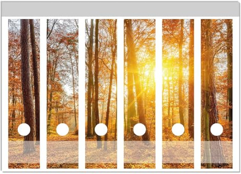 Wallario Ordnerrücken Sticker Sonnenuntergang im herbstlichen Wald - Größe 6 Stück, Rückenschilder für 6 breite Ordner, Klebeetiketten