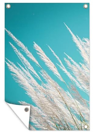 MuchoWow Outdoor-Poster Poster Wanddeko draußen Deko Garten Gartenposter 80x120 cm Pampasgras - Pflanze