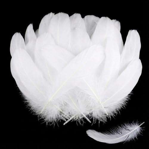 SUNRIZ Federn Zum Basteln, 600 Stück Weiße Federn, Natürliche Deko Bastelfedern für DIY Ohrring, Traumfänger,Handwerkskunst, Flaumfedern für Hochzeit, Ostern, Weihnachten